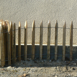 h50cm - Ganivelle en châtaignier